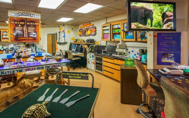 Inside the Animal Conservation Station