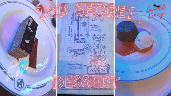 TOP SECRET DESSERT